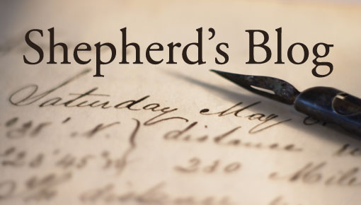 Shepherd's Blog