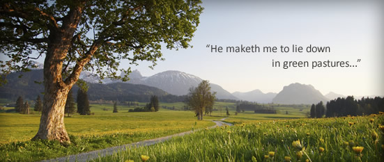 Green Pastures