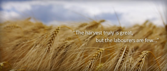 Harvest