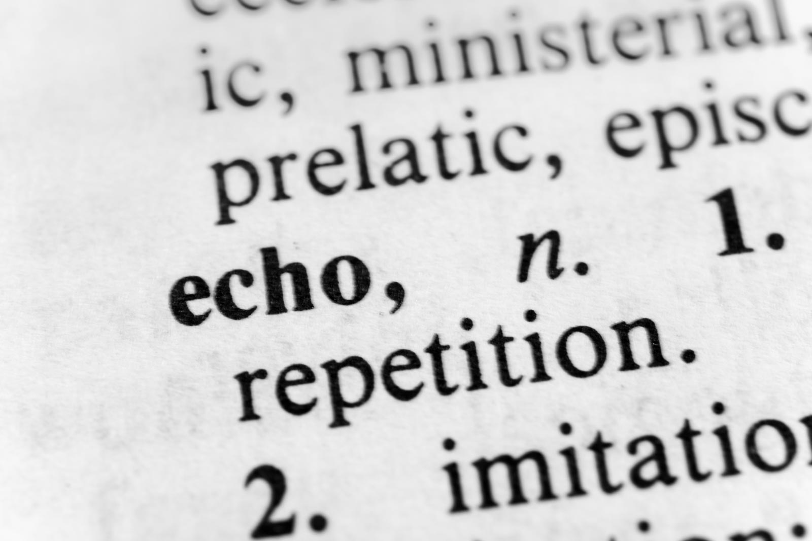Read more about the article The Echo Chamber