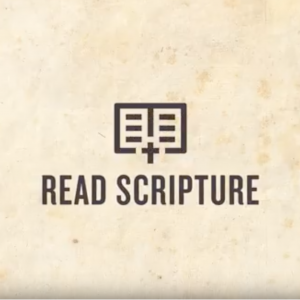 Read Scripture—An Innovative Bible Reading Tool